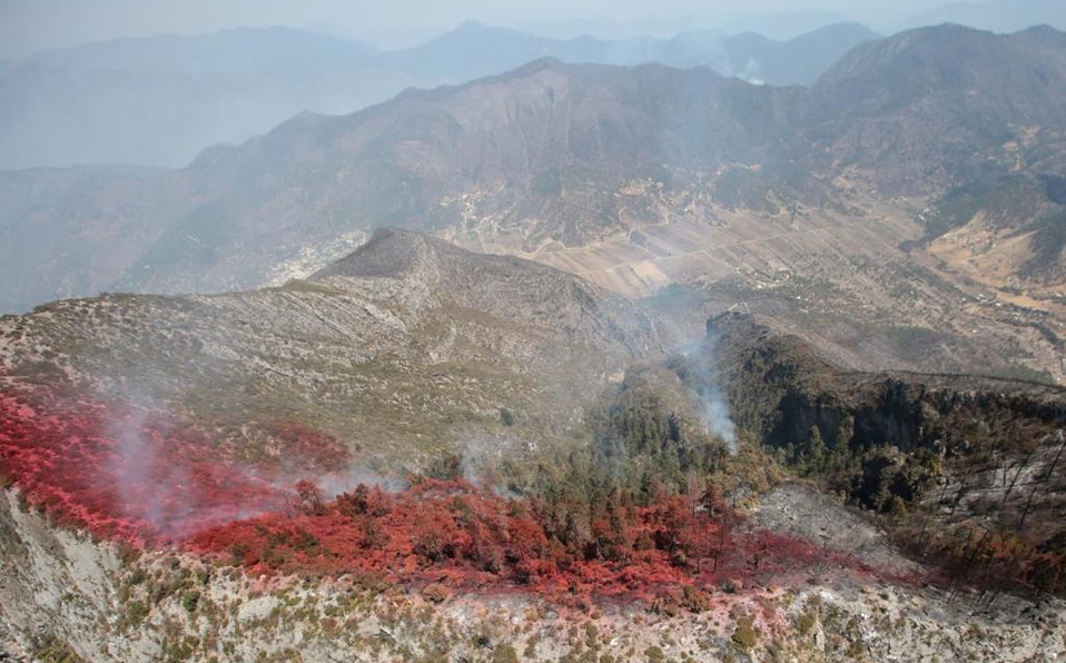 Foto: Cortesía Incendio en sierra de Arteaga se ha liquidado en un 75%
