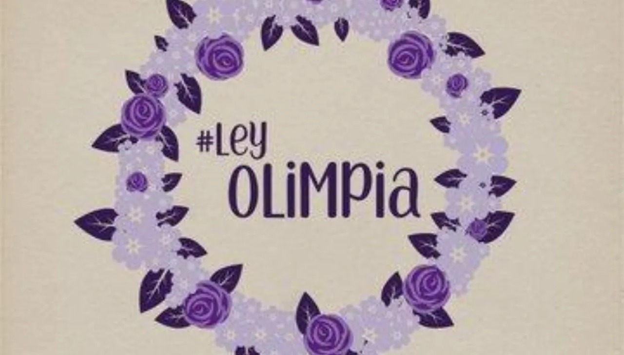 Por: Cortesía No habrá revolución pues la Ley Olimpia fue aprobada