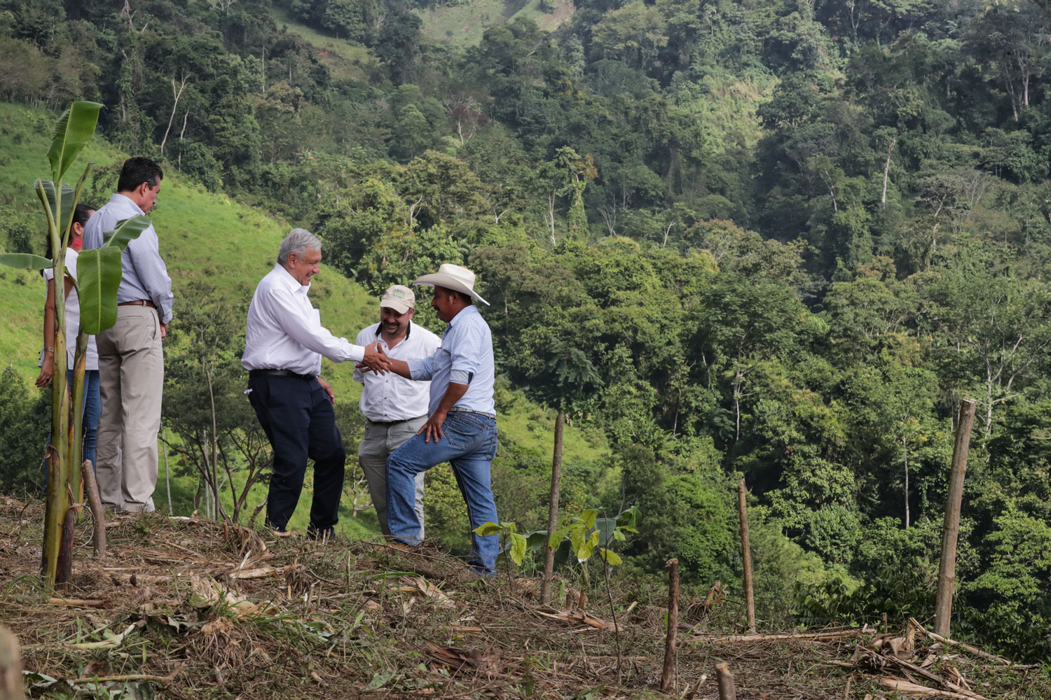 Por: Cortesía AMLO propondrá a Kamala Harris extensión de 'Sembrando Vida' en Centroamérica