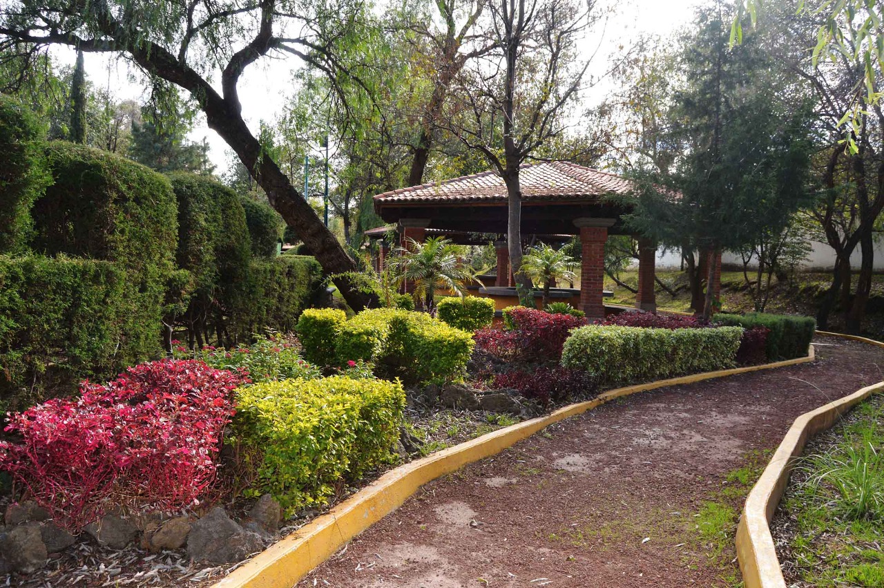 Reabrirá CGE acceso a áreas naturales del Estado con medidas sanitarias