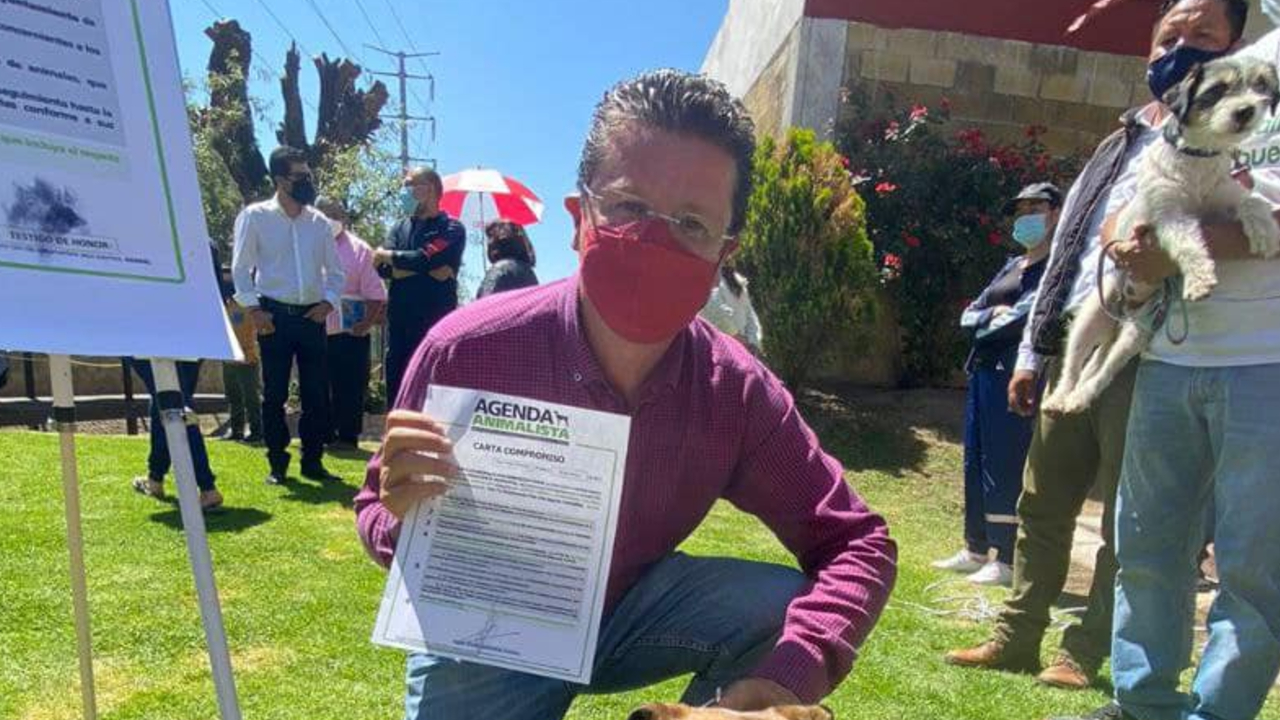 Por: Cortesía Julio Lorenzini candidato por la Alcaldía de San Pedro, buscaría promover acciones a favor de los animales domésticos