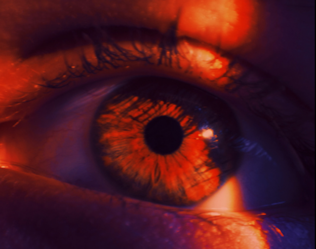 Por: Cortesía Un paciente ciego recupera la vista parcialmente con una novedosa terapia a base de algas