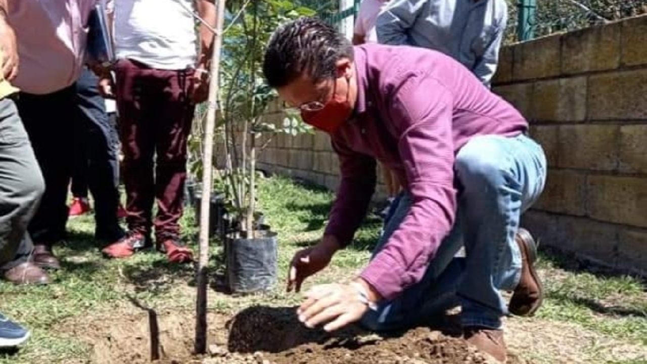 Por: Cortesía Julio Lorenzini, maneja como propuesta la posible reforestación de San Pedro Cholula