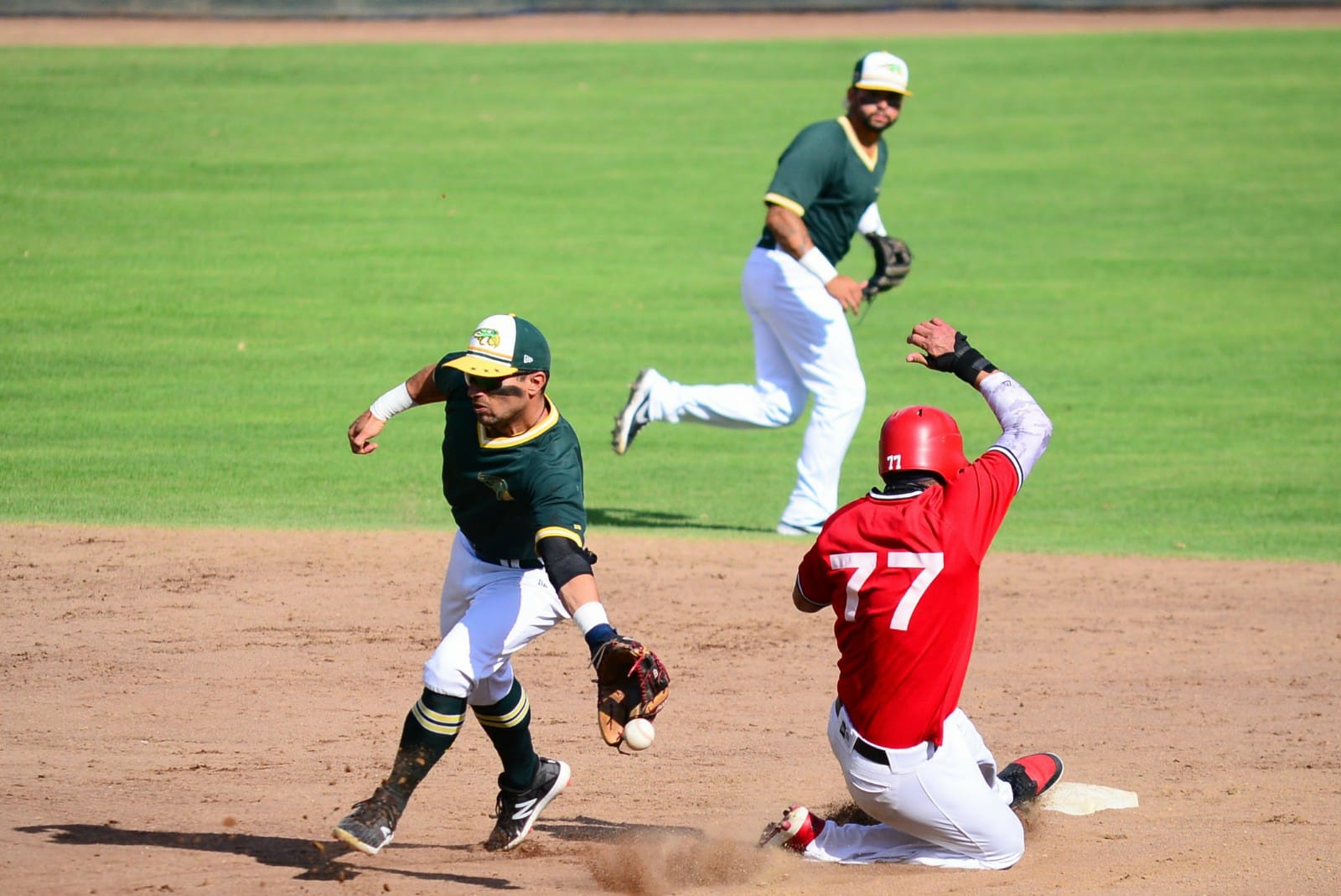 Por: Cortesía Pericos arranca gira en Veracruz