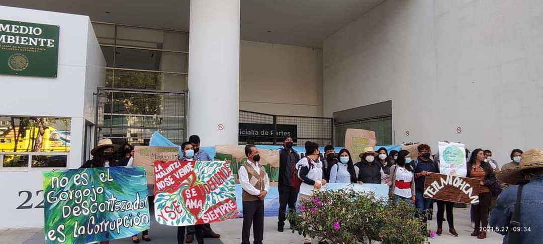 Por: Cortesía Manifestación en SEMARNAT, urgen solución para la plaga del gusano descortezador