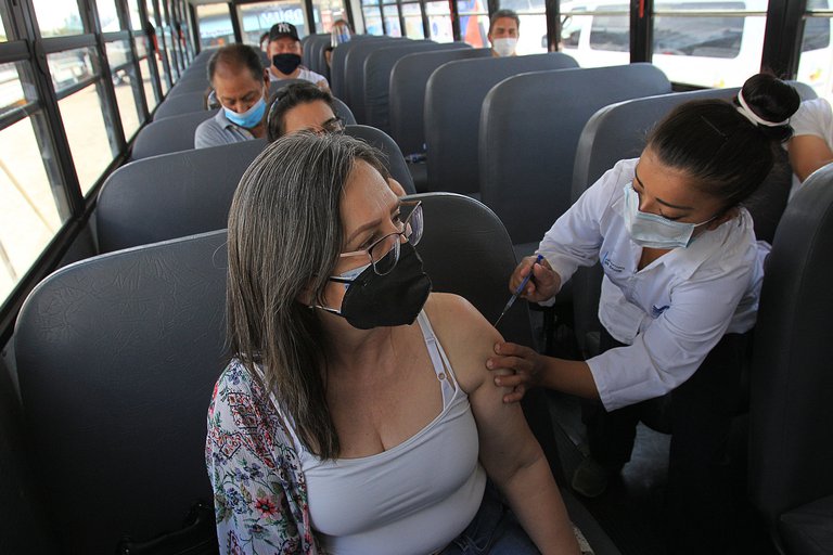 Por: Cortesía Científicos descubrieron que la inmunidad al coronavirus podría durar años