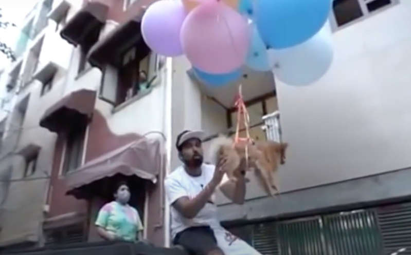 Por: Cortesía Detienen a youtuber por ‘volar’ a su perro con globo