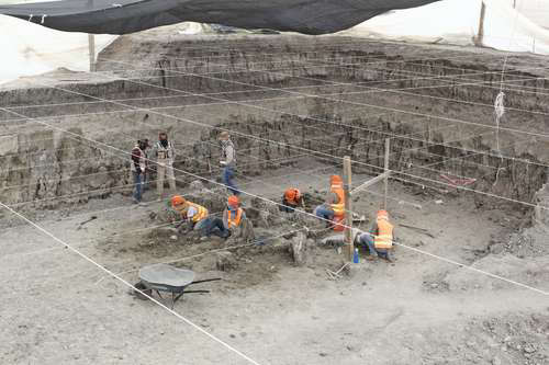 Encuentran restos de 480 mamuts en terrenos del nuevo aeropuerto