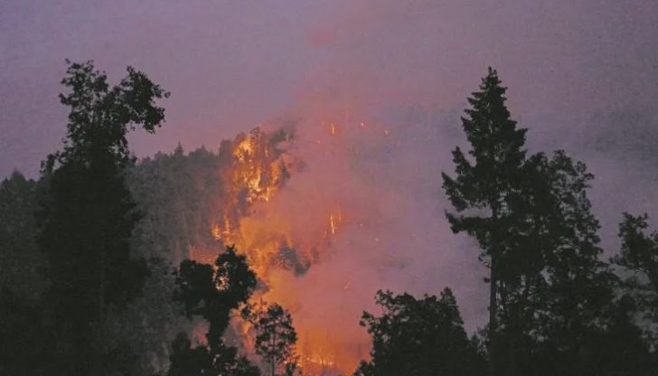 Por: Cortesía Incendio “Caldor” destruyó al menos 104 edificios en California