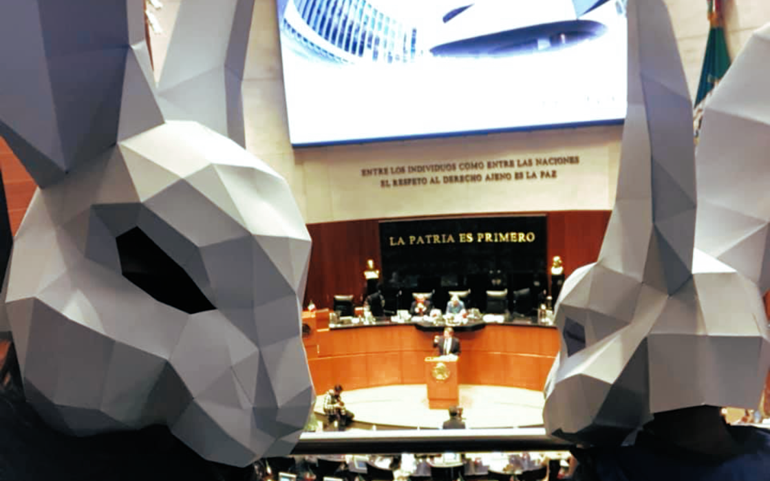 Por: Cortesía Senado prohibe la realización de experimentos en animales para la producción de cosméticos