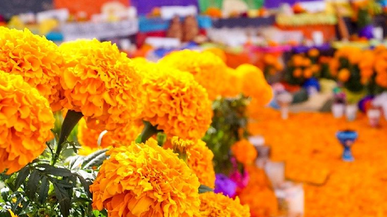 Por: Cortesía Reportan en Cuautlancingo “Saldo Blanco” de actos delictivos durante la jornada de “Todos Santos”