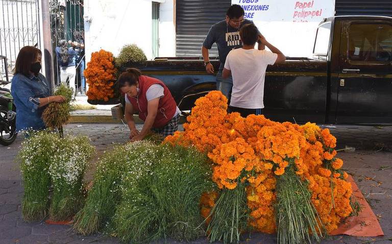 Por: Cortesía Floristas del estado de Tlaxcala incrementan sus ventas por Día de Muertos