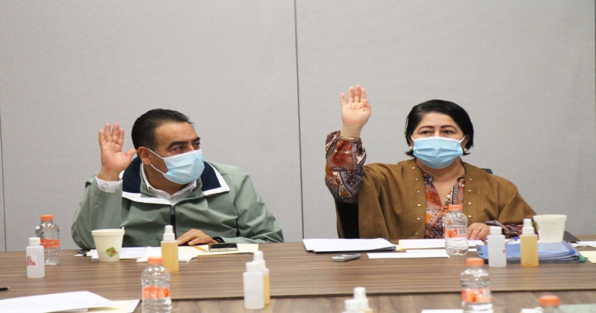 Por: Cortesía Aprueban convocatoria que regula proceso de selección del IAIP: Blanca Águila