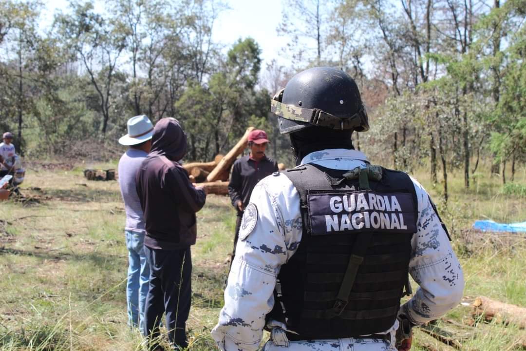 Arrestan a sujetos por talar árboles sanos, en Tenancingo