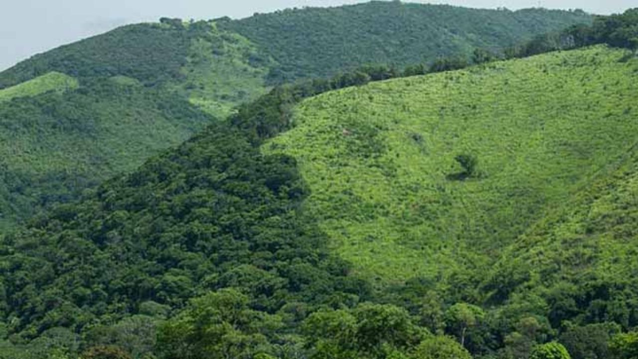 Por: Cortesía SCJN resuelve conflicto territorial entre Oaxaca y Chiapas, este último pierde un municipio