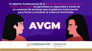 Por: Cortesía Resultados de la AVGM se verán reflejados a su tiempo: activista
