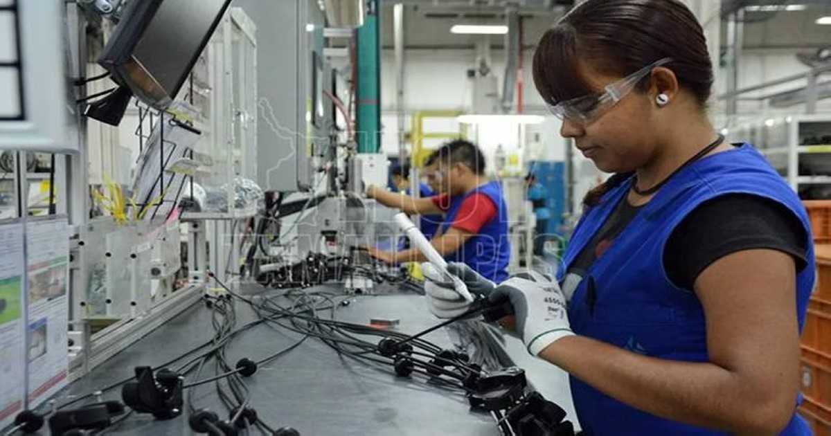 Por: Cortesía Se crearon 62 mil nuevos empleos en Tlaxcala: ENOE
