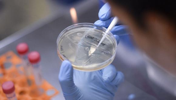 Por: Cortesía Moderna desarrollará refuerzo específico para la nueva variante de Covid 'ómicron'