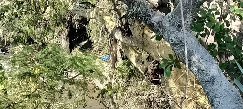 Por: Cortesía Hallan cadáver de mujer desaparecida; habría caído a una barranca en Izúcar de Matamoros