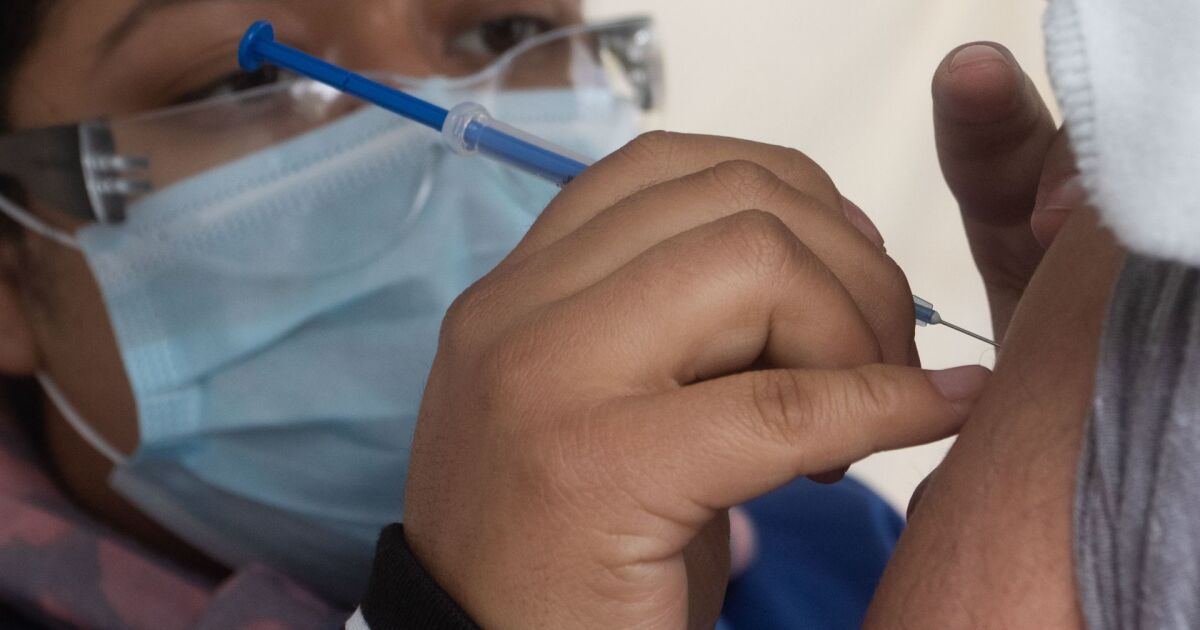 Por: Cortesía Más de 40 millones de vacunas contra la Covid-19 tiene México de reserva