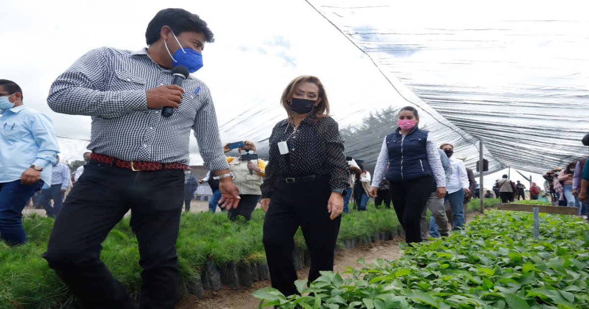 Por: Cortesía Entregó Lorena Cuéllar desgranadoras a campesinos y verificó avances del programa sembrando vida