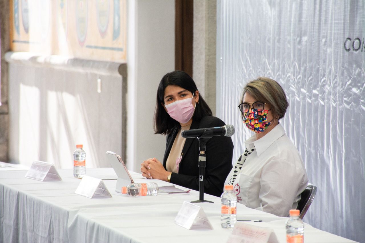 Por: Cortesía Encabeza Diana Torrejón “Diálogos Sobre Derechos Humanos” con regidores de 60 municipios