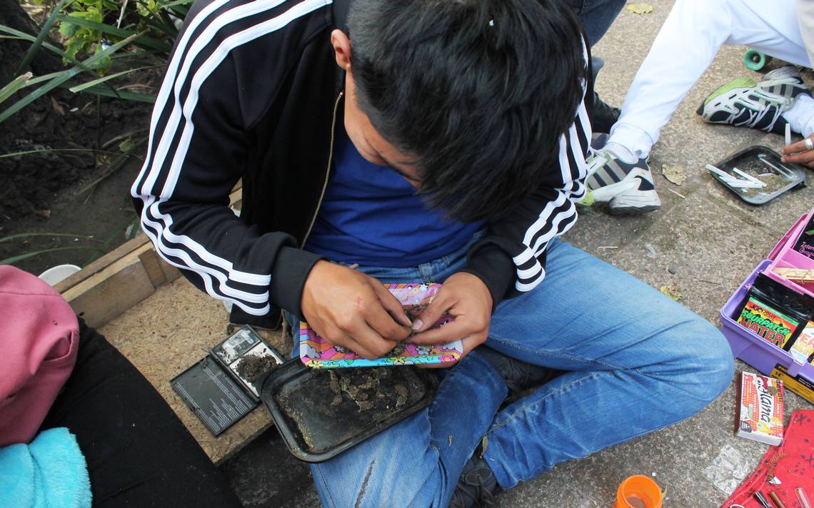 Por: Cortesía Pandemia incrementó el consumo de drogas en adolescentes y jóvenes en México