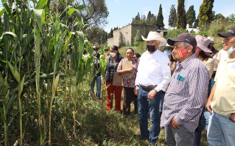 Por: Cortesía Sefoa informa sobre avances en apoyos a ganaderos