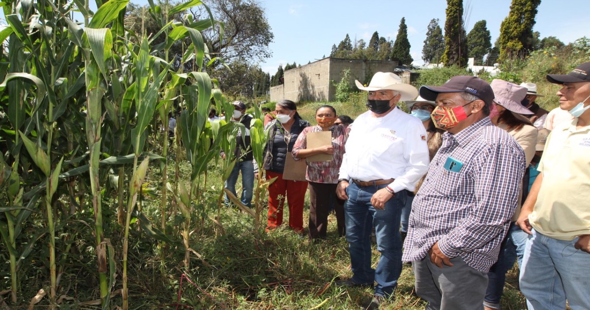 Presenta SEFOA avances de capacitación a ganaderos lecheros