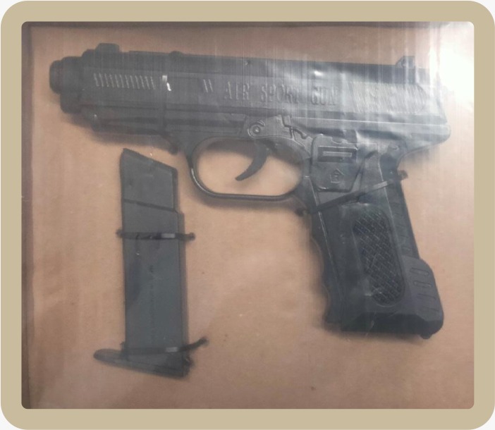 Por: Cortesía Más de 80 armas fueron aseguradas en Tlaxcala: INEGI