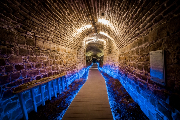 Por: Cortesía Lugares turísticos en Puebla reabren, ya puedes visitar el Puente de Bubas y Pasaje 5 de Mayo
