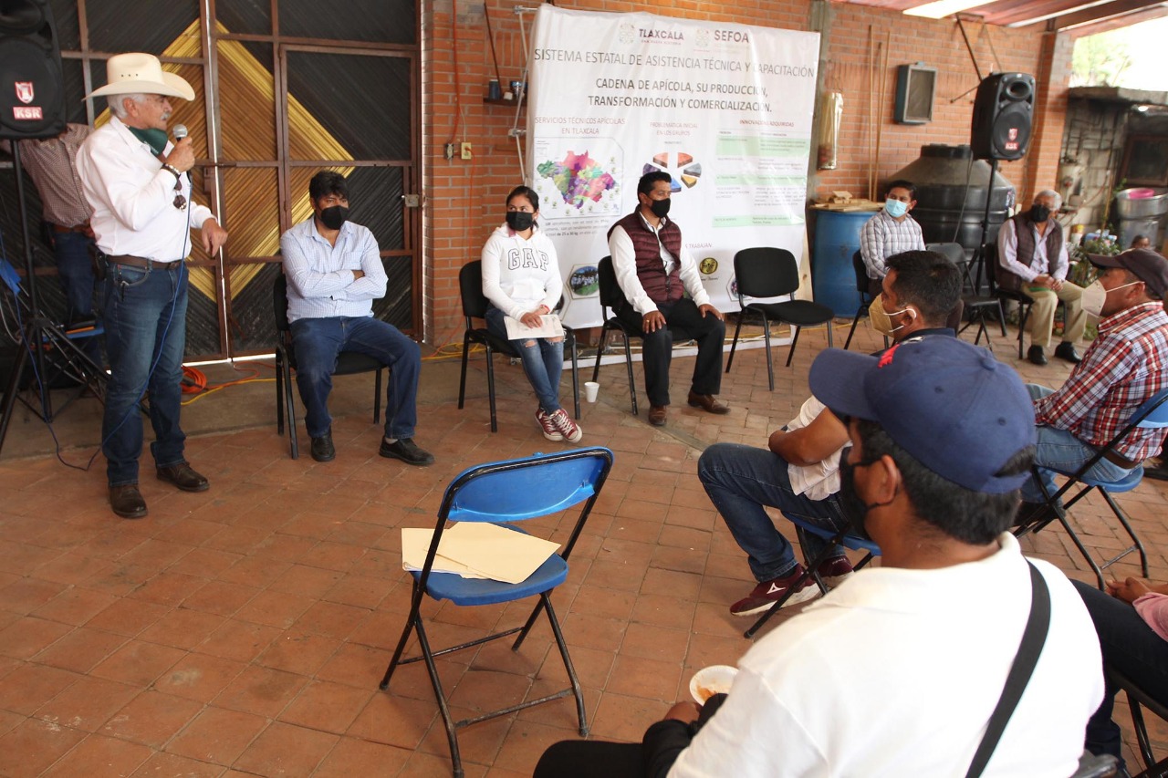 Por: Cortesía Atiende SEFOA a más de 100 apicultores con acompañamiento técnico