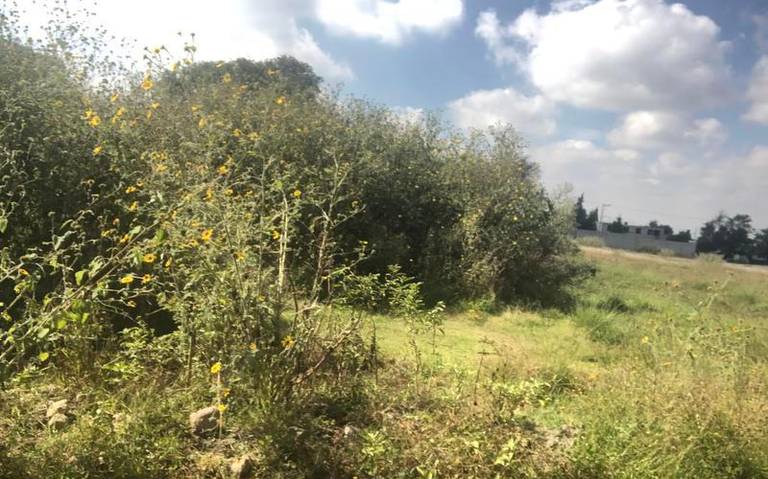 Por: Cortesía Panteón de Zacatelco se encuentra inhabilitado debido a una deuda