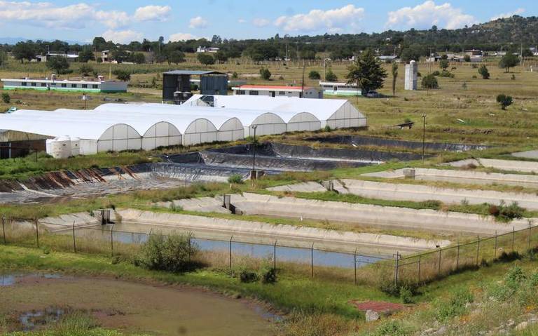 En Tlaxcala buscan reactivar la acuacultura