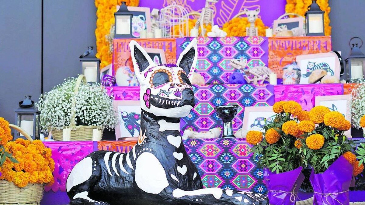 ofrendas Dia Muertos mascotas Mexico 1624047811 146231787 1200x675
