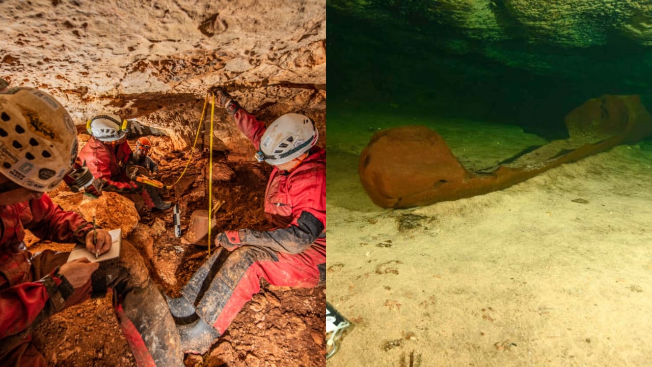 Por: Cortesía Durante construcción del Tren Maya siguen encontrando vestigios arqueológicos