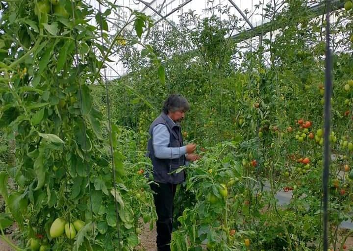Por: Cortesía Piden protección para agricultor de Atlangatepec tras amenazas