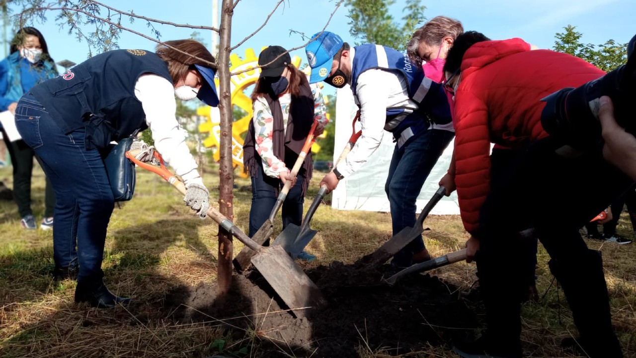 Por: Cortesía Secretaría del Medio Ambiente y Club Rotario realizaron Jornada de Reforestación en San Andrés Cholula