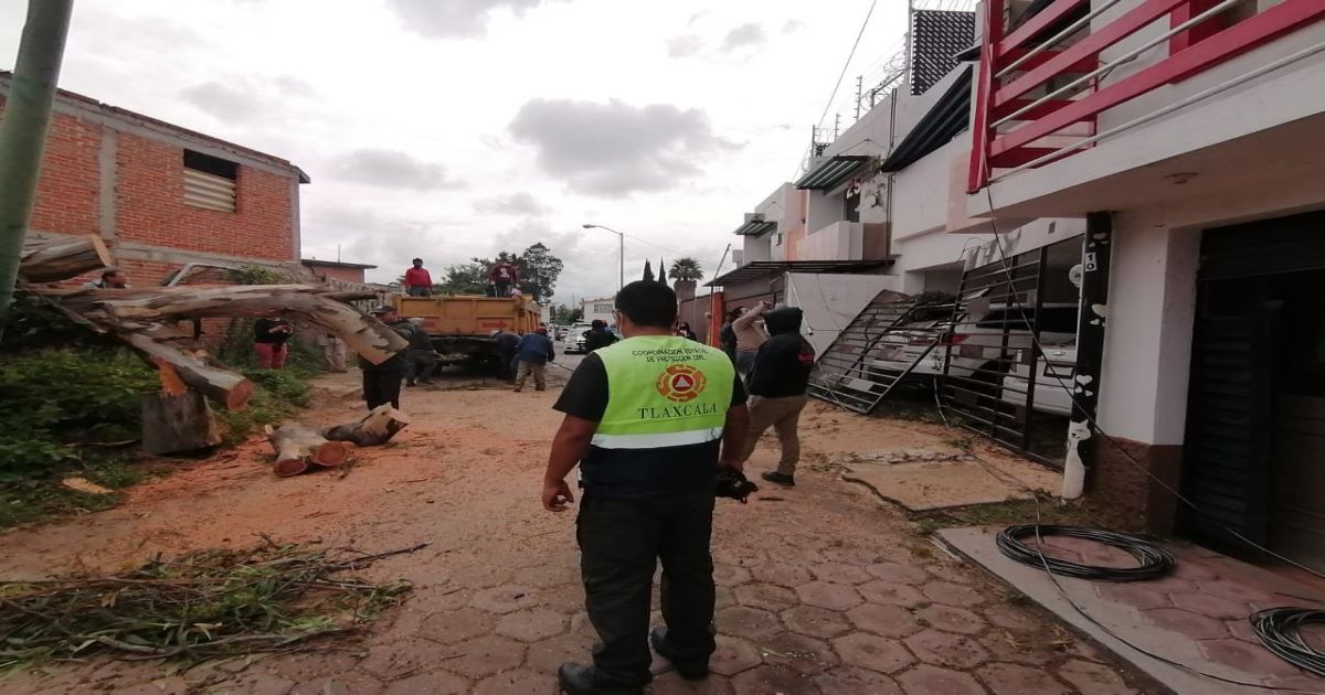 Por: Cortesía Atiende Servicios Públicos de la capital tlaxcalteca caída de árbol sobre una casa de la comunidad San Gabriel Cuauhtla