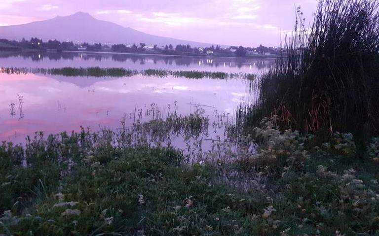 Laguna de Atlangatepec recupera porcentaje de agua.