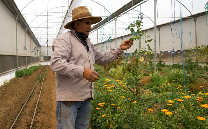 Por: Cortesía El presidente AMLO pide mil 425 mdd a Joe Biden para programas de la 4T en Centroamérica