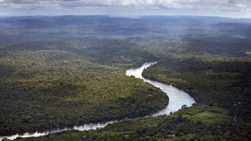 Por: Cortesía Reconocemos a la "Amazonia europea" como reserva de la bioesfera: UNESCO