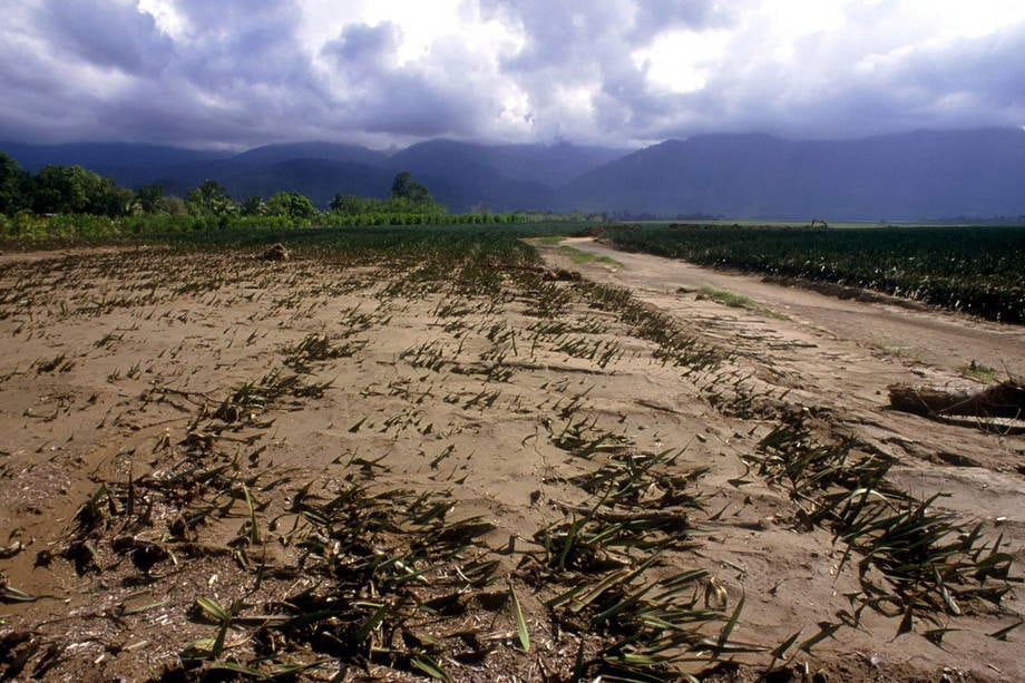 Por: Cortesía La OMM sostiene que la pandemia no benefició al cambio climático como se pensaba