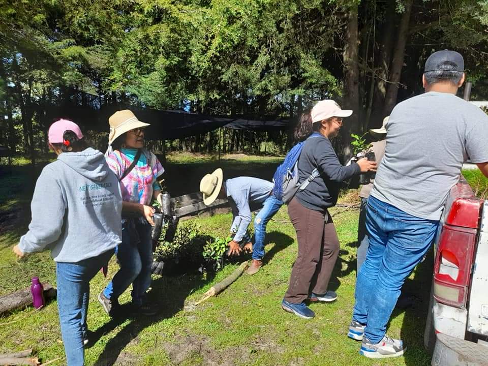 Por: Cortesía Dan continuidad a reforestación en la Malinche