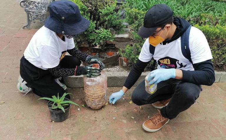 Por: Cortesía En Tlaxcala colectivo recolecta colillas de cigarro para reciclarlas.