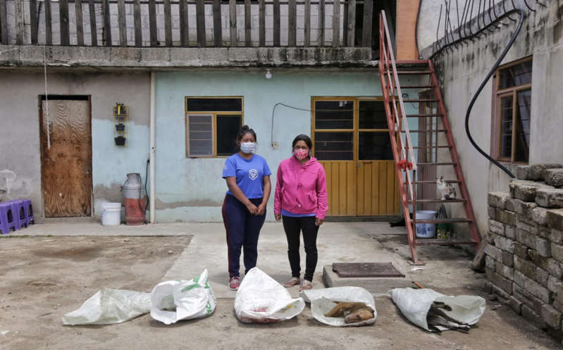 Por: Milenio Crueldad animal: matan a otros 5 lomitos en Puebla