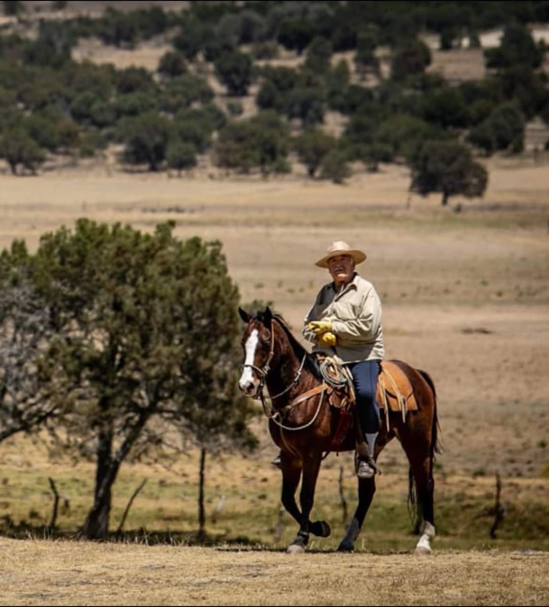 Por: Cortesía Muere Sabino Yano Bretón, ganadero e historiador tlaxcalteca