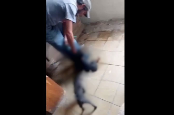 Indigna caso de hombre que estrangula a un perro para un presunto ritual en La Margarita (Video)