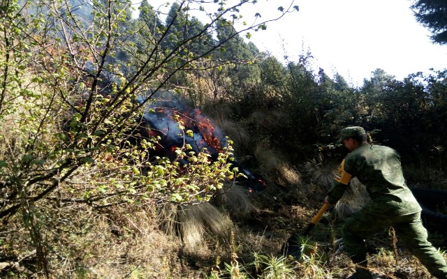 Por: Cortesía En Puebla se combaten actualmente seis incendios forestales: Gobernación