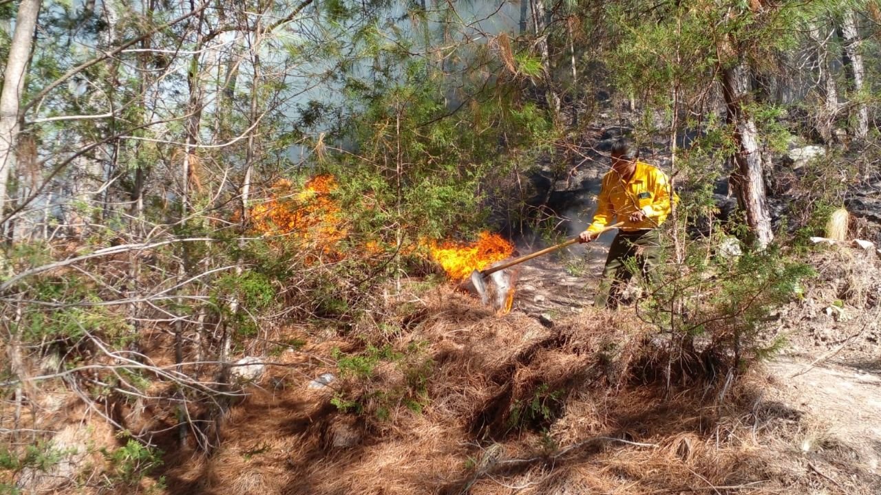 Por: Cortesía Incendio forestal en Magdalena Peñasco, Oaxaca, donde murieron 4 personas ya fue controlado al 100%